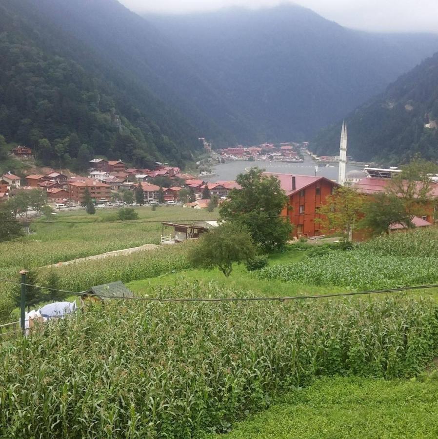 Zeren Bungalov Aparthotel Uzungöl Esterno foto