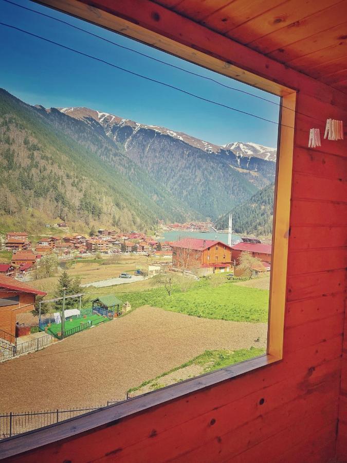 Zeren Bungalov Aparthotel Uzungöl Esterno foto