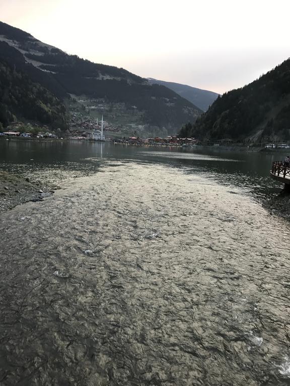 Zeren Bungalov Aparthotel Uzungöl Esterno foto